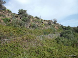 zzena-07-04-2013 08-28-41